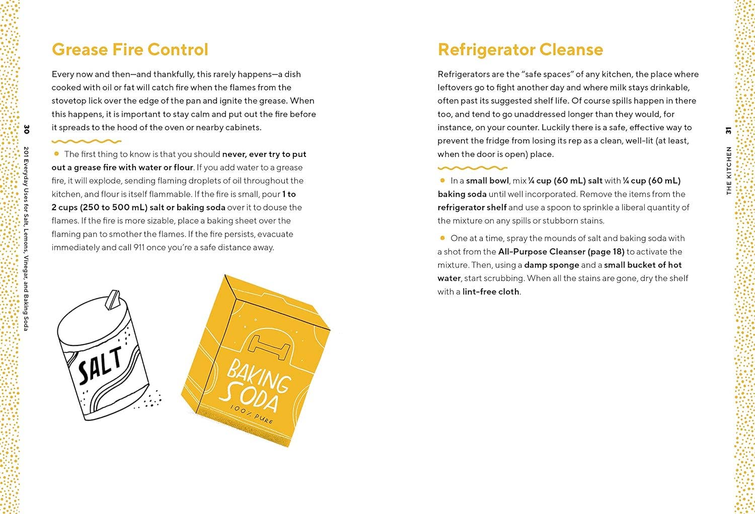 201 Everyday Uses for Salt, Lemons, Vinegar, and Baking Soda Book - Image 4