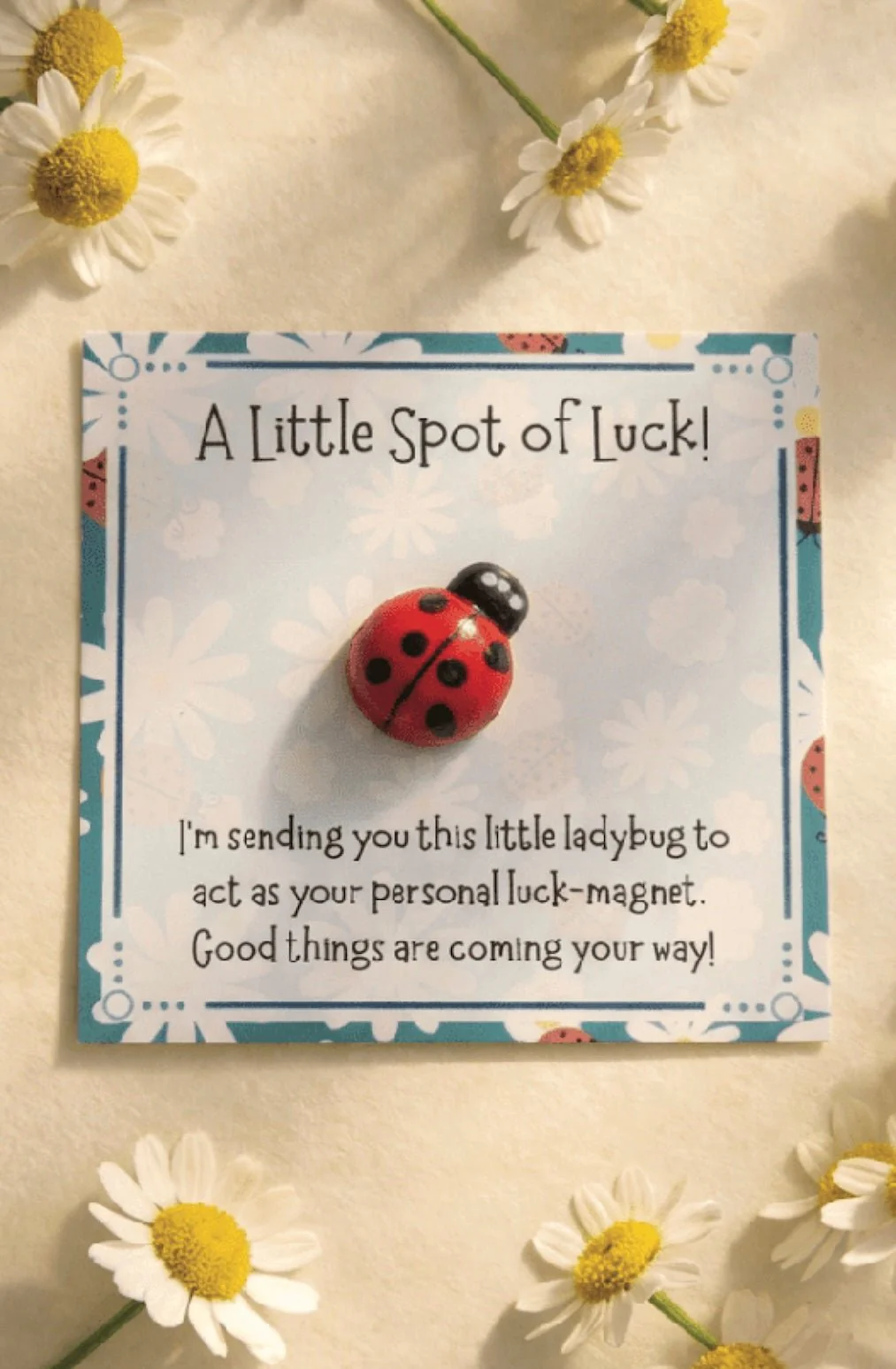 A Little Spot Of Luck Pocket Hug Emotional Support Token