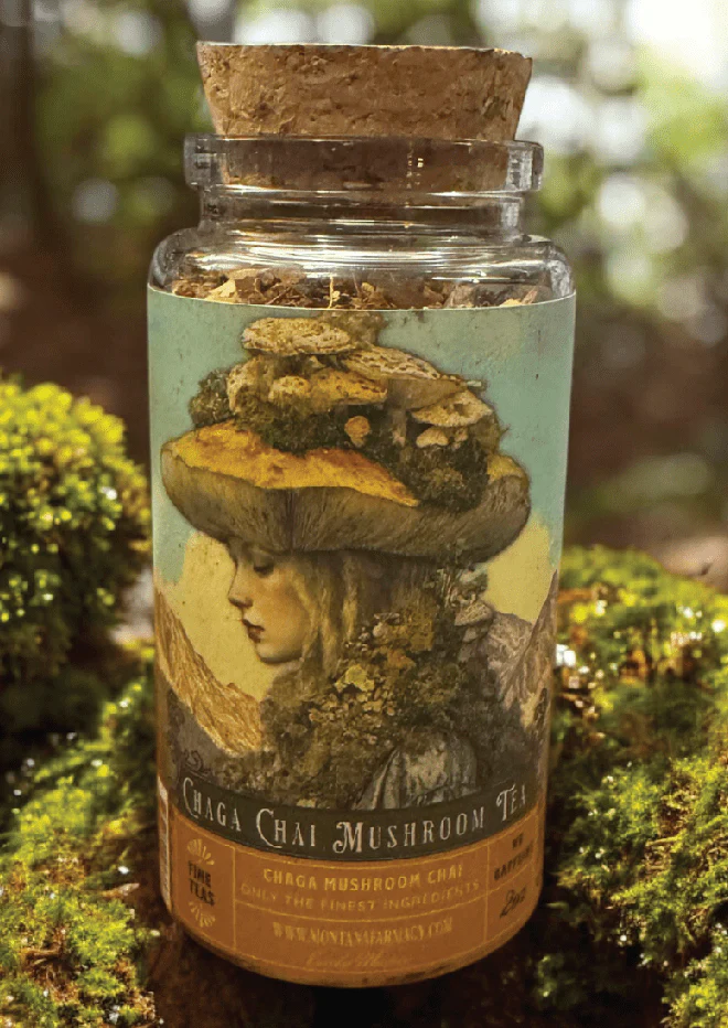 Chaga Chai Mushroom antioxidant Tea Spice in corked Jar - Image 2