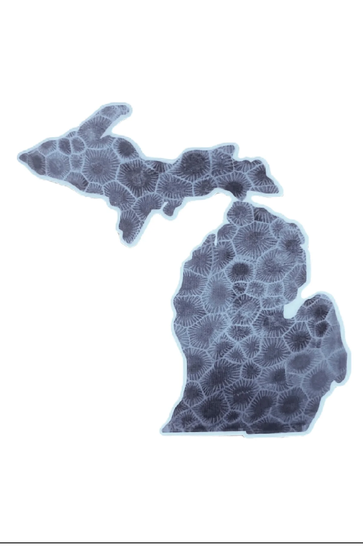 Michigan Gray Petoskey Stones- Decal