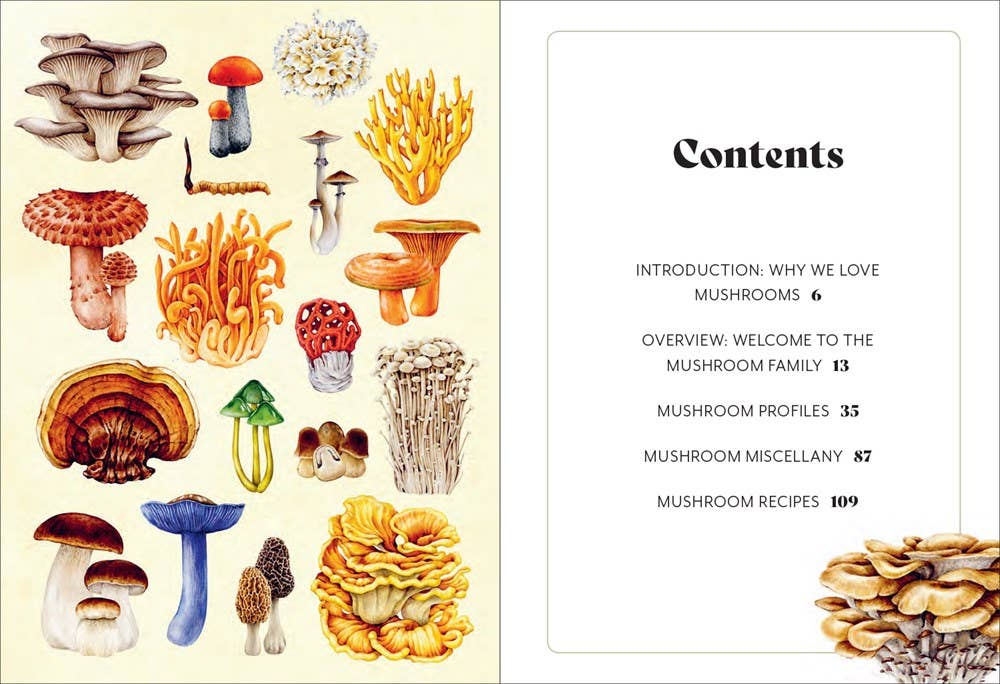 Mushroom Miscellany by Adele Nozedar - Illustrated Guide & Cookbook - Image 2