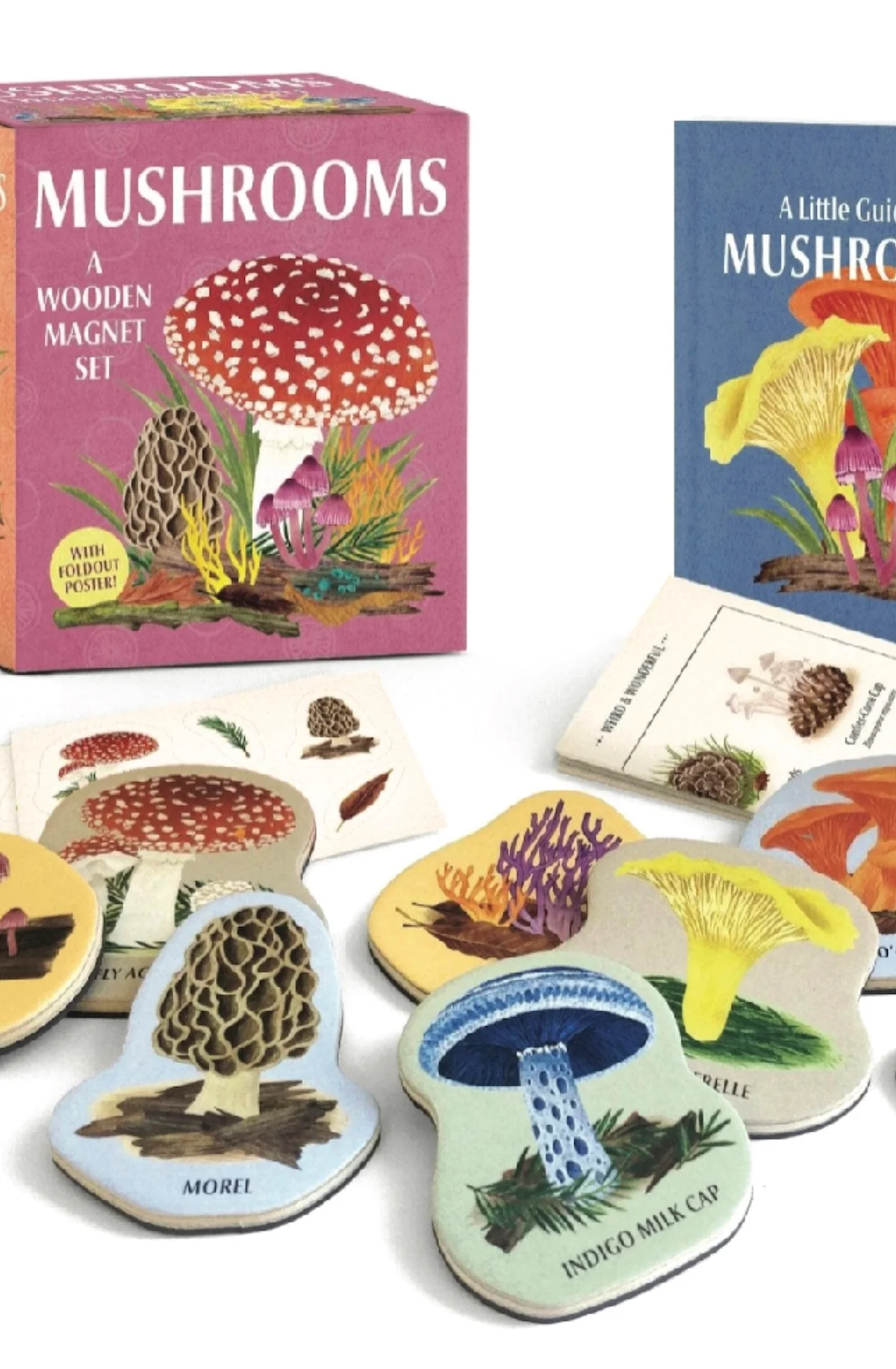 Mushrooms: Wooden Magnet Set