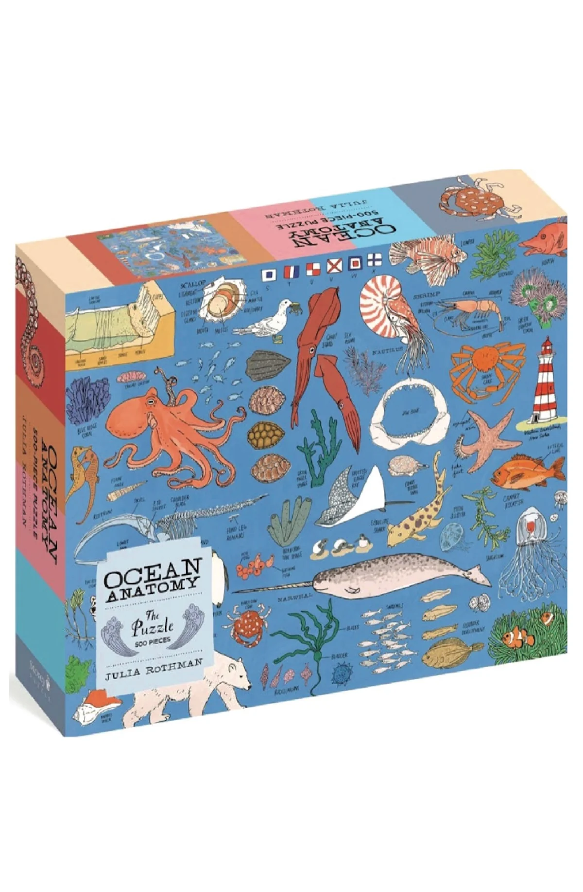 Ocean Anatomy: The Puzzle (500 pieces)