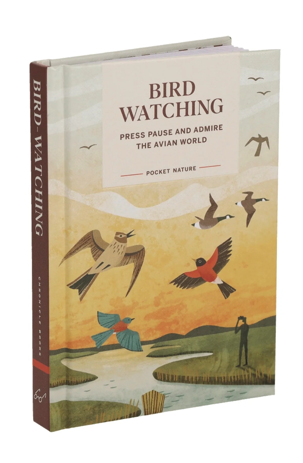 Pocket Nature: Bird-Watching Book