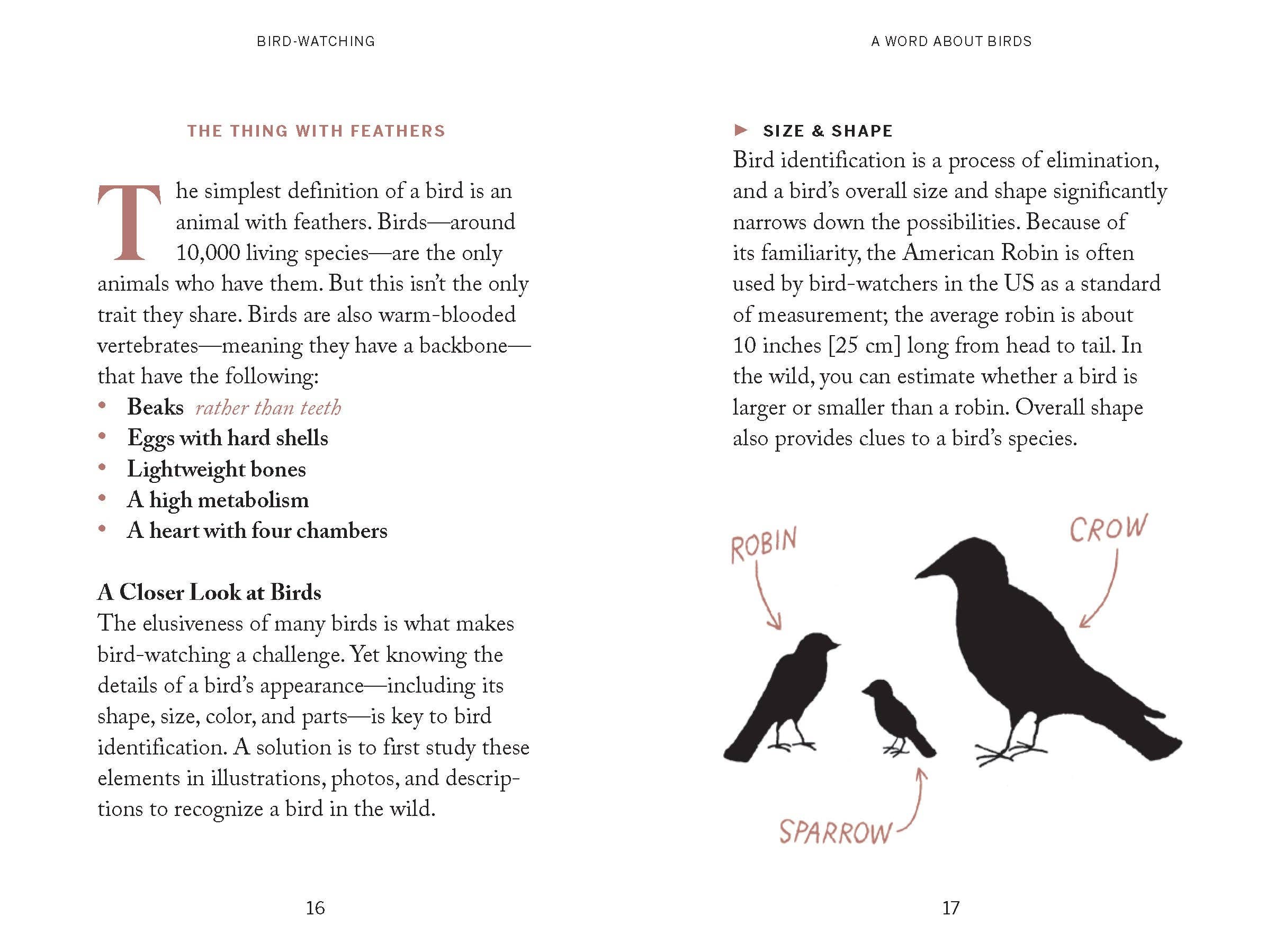 Pocket Nature: Bird-Watching Book - Image 4
