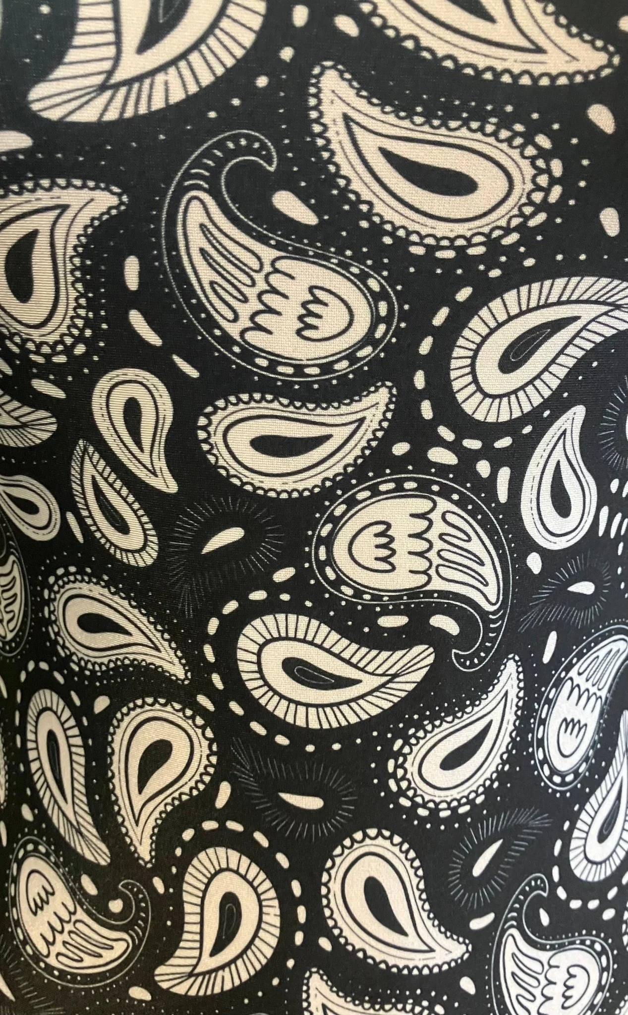 Soar High Leotard - Black Paisley Wings - Gymnastics & Dance Leotard for Girls - Image 3