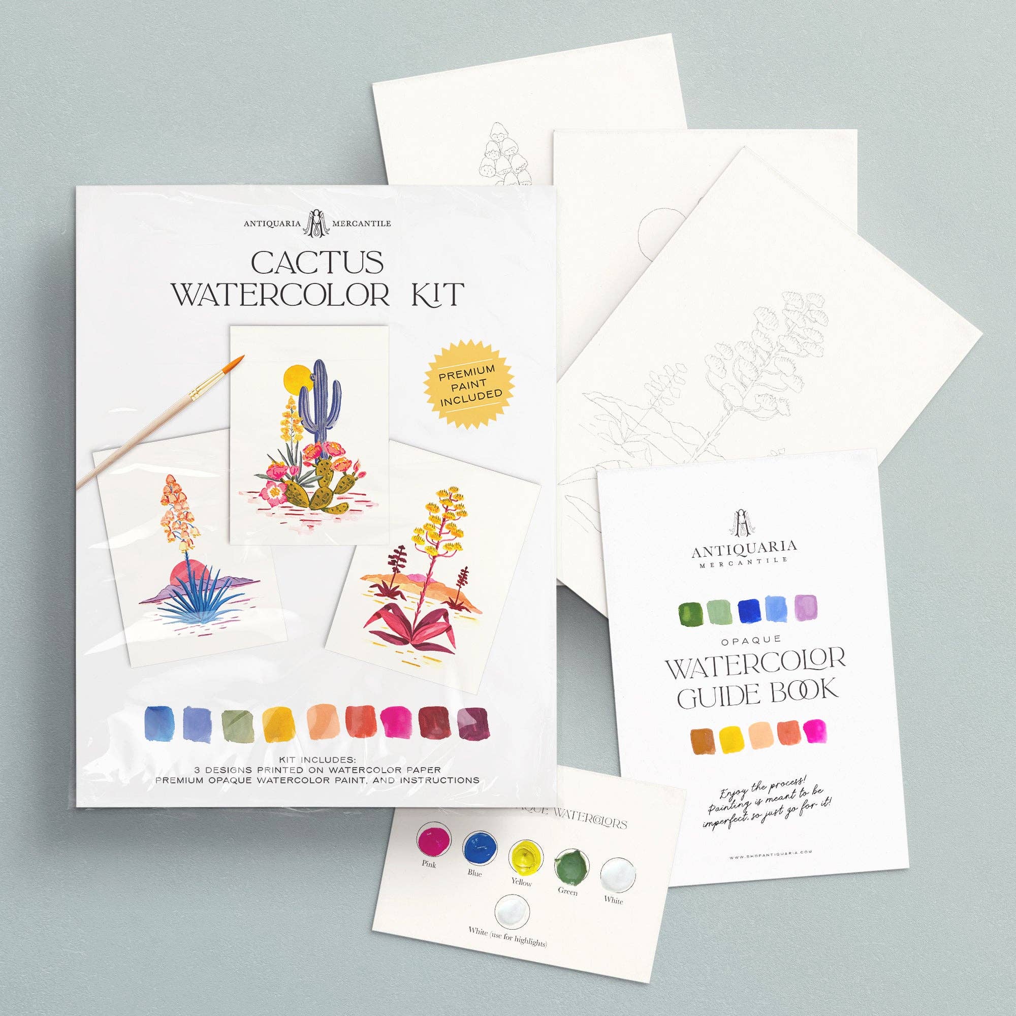 Watercolor Painting Kit: Cactus - Image 3
