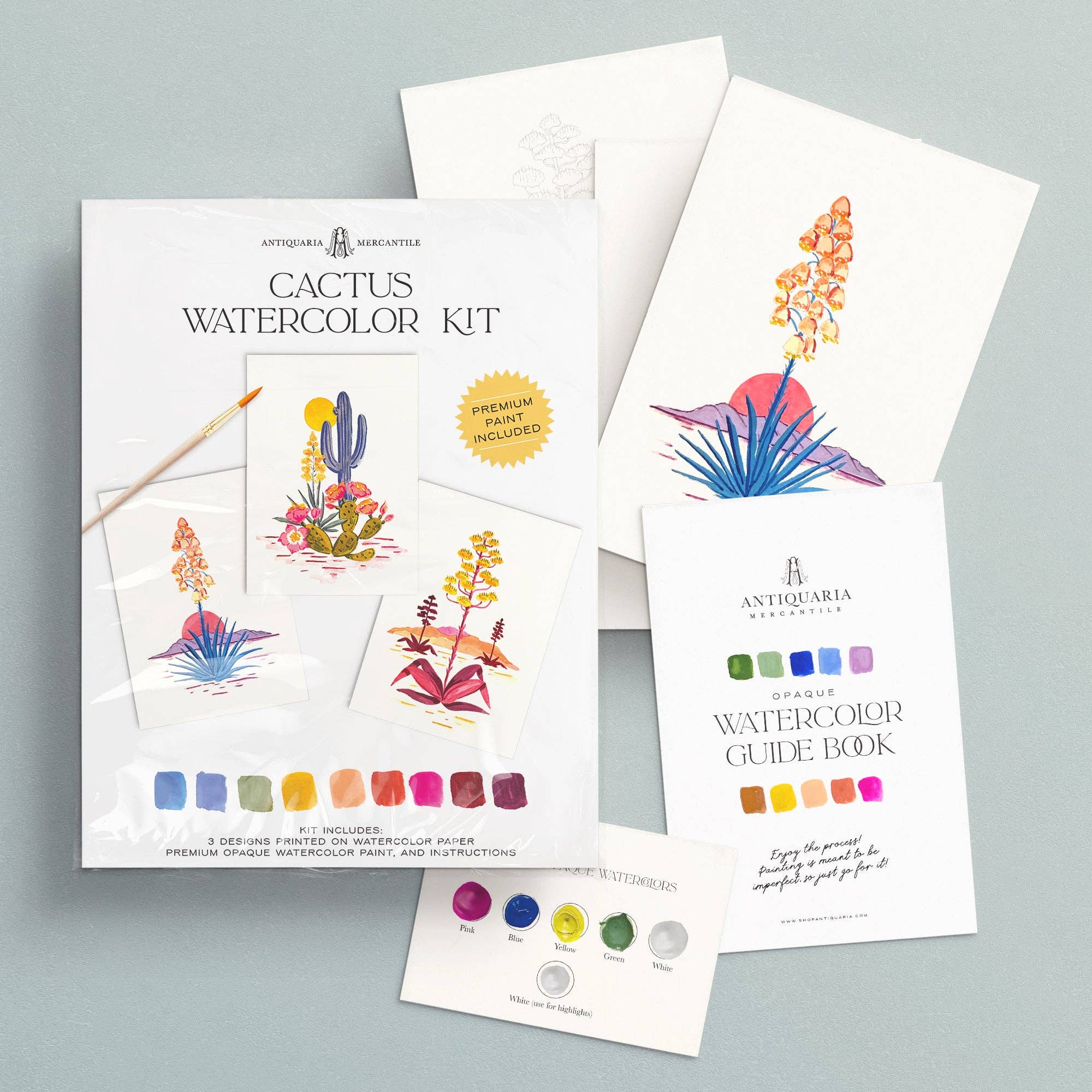 Watercolor Painting Kit: Cactus - Image 4