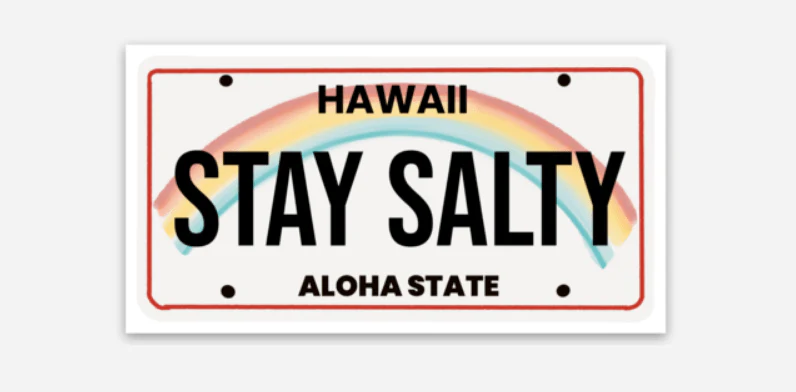 Waterproof Salty State Plate Stickers - Image 2