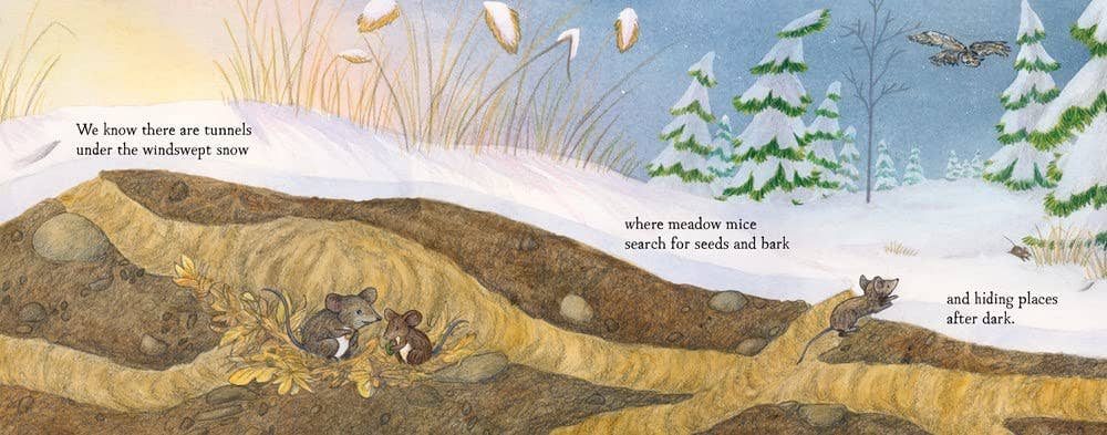 When Winter Comes (board book): Season Children's Book - Image 4