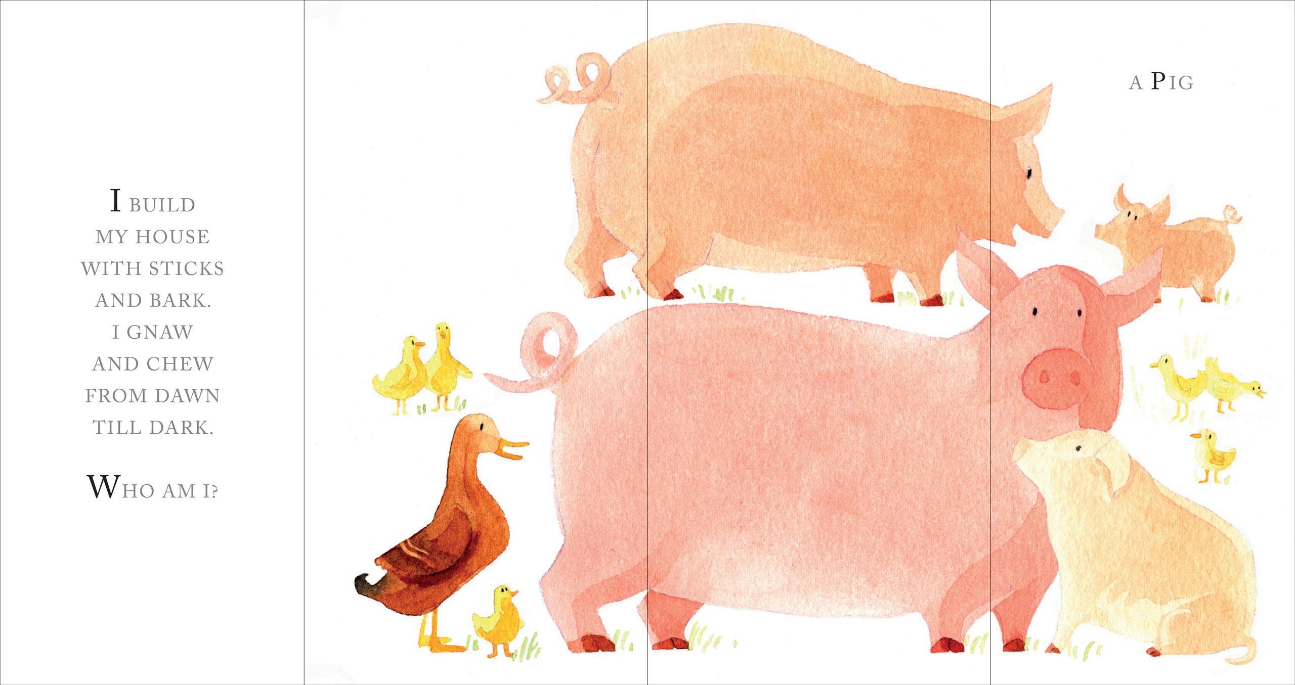 Whose Tail? Children's Book - Image 2
