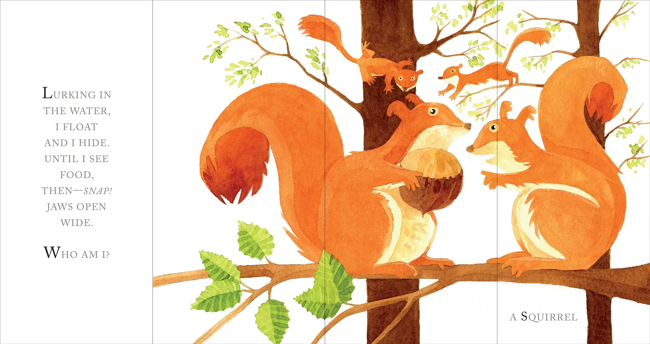 Whose Tail? Children's Book - Image 4